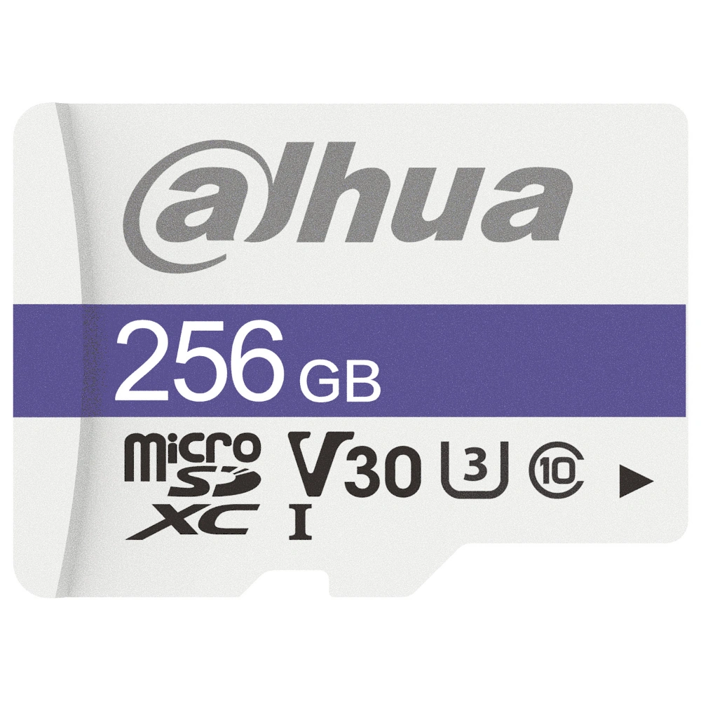 DHI-TF-C100-256GB 1